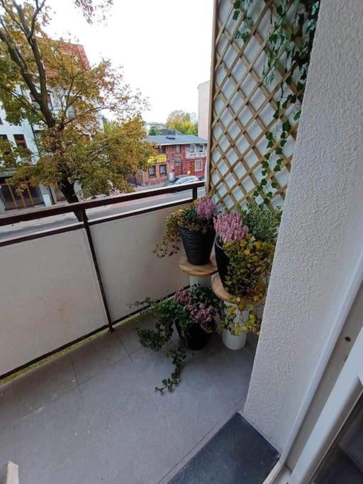 Apartament Podgorna 19 Lägenhet Stary Toruń Exteriör bild